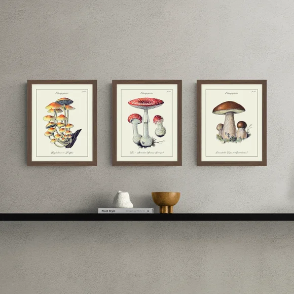 ARTKO Set of 3 Champignons Framed Prints