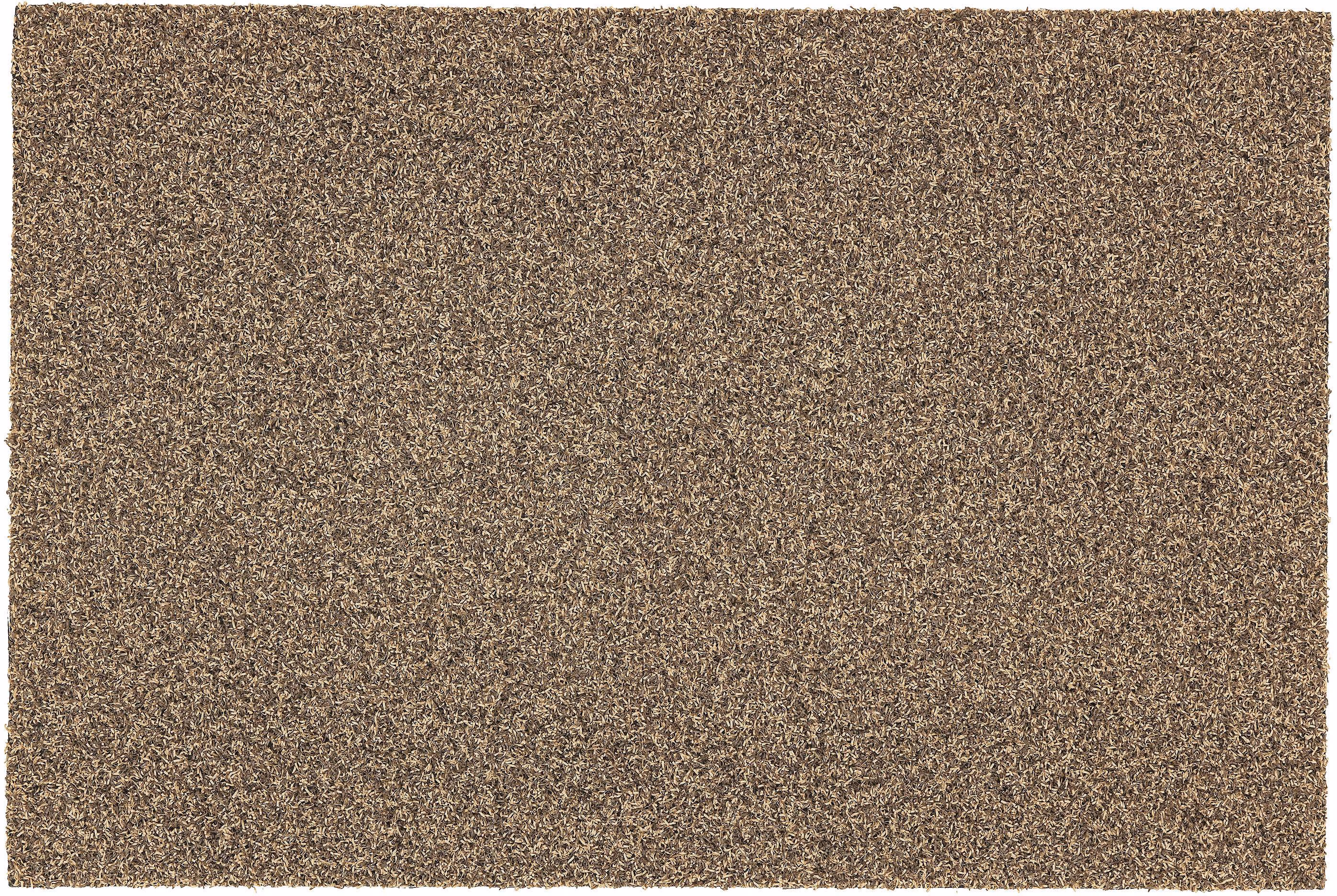 Astra Bridwell Doormat white,brown