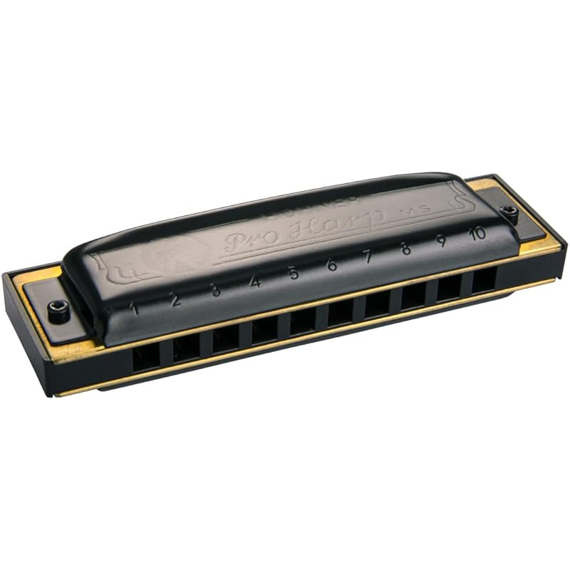 Hohner Pro Harp/g Professional Harp 10 Hole Harmonica