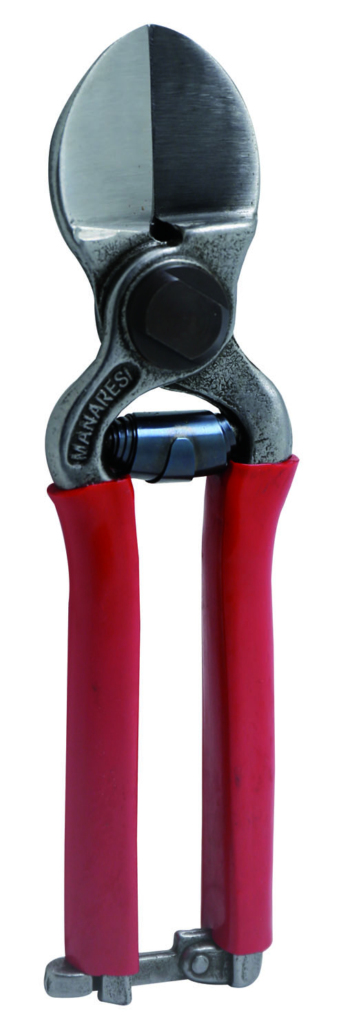 - Senza Marca/Generico - Cesoia forbici da pota doppio taglio 21 cm potatura vigna frutteto